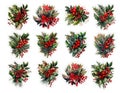 New Year, Christmas stickers, bouquets with green holly leaves, poinsettia flowers and red berries Royalty Free Stock Photo